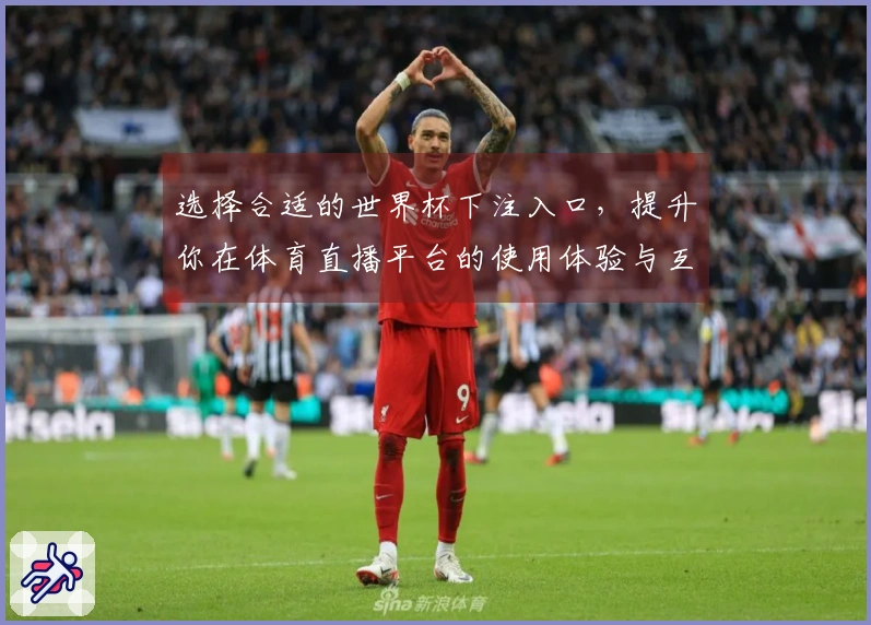 选择合适的世界杯下注入口，提升你在体育直播平台的使用体验与互动乐趣