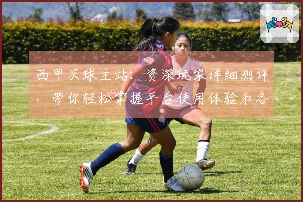 西甲买球主站：资深玩家详细测评，带你轻松掌握平台使用体验和各项功能