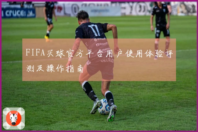 FIFA买球官方平台用户使用体验评测及操作指南