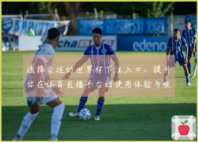选择合适的世界杯下注入口，提升你在体育直播平台的使用体验与互动乐趣