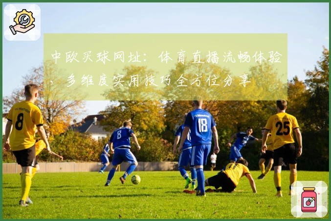 中欧买球网址：体育直播流畅体验，多维度实用技巧全方位分享