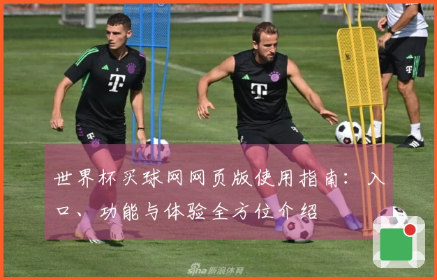 世界杯买球网网页版使用指南：入口、功能与体验全方位介绍