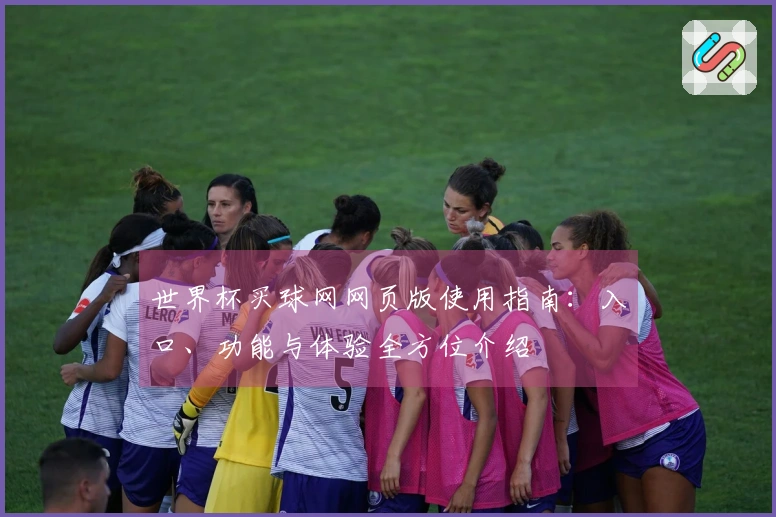 世界杯买球网网页版使用指南：入口、功能与体验全方位介绍